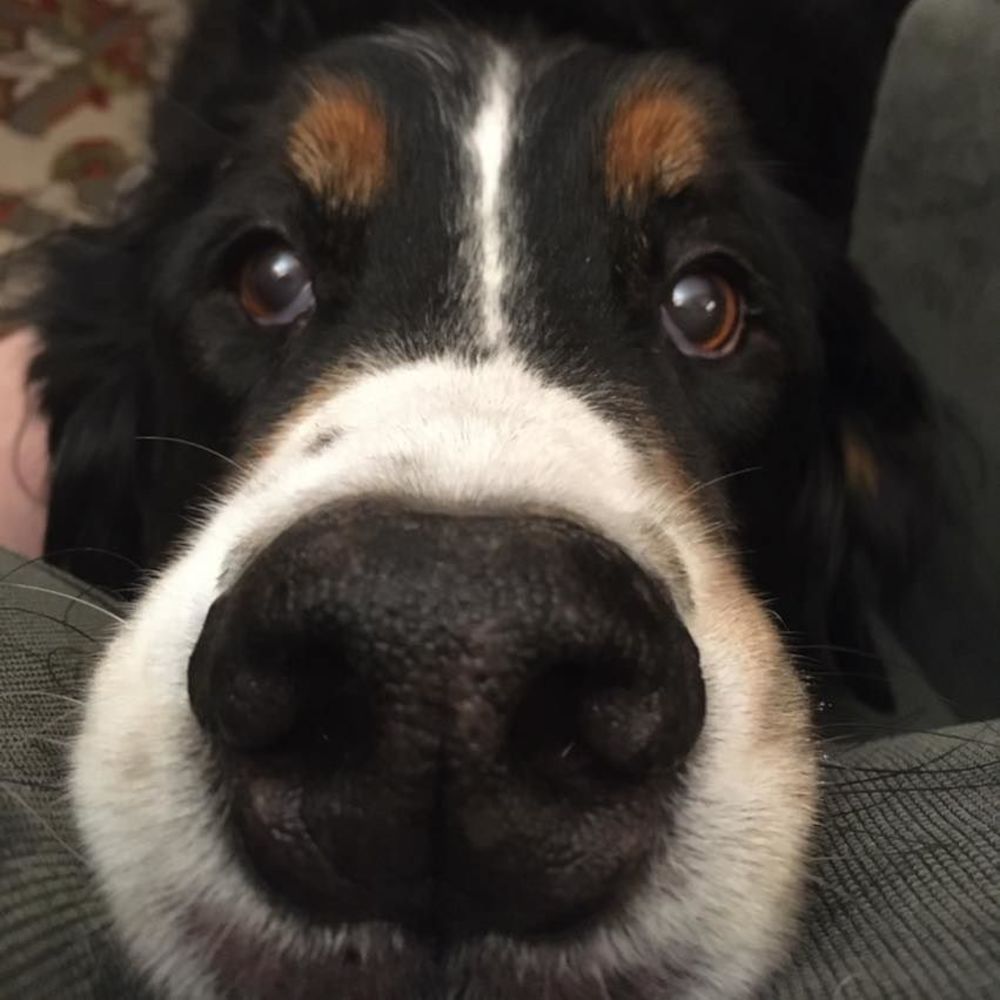 Meet your Posher, Kelly